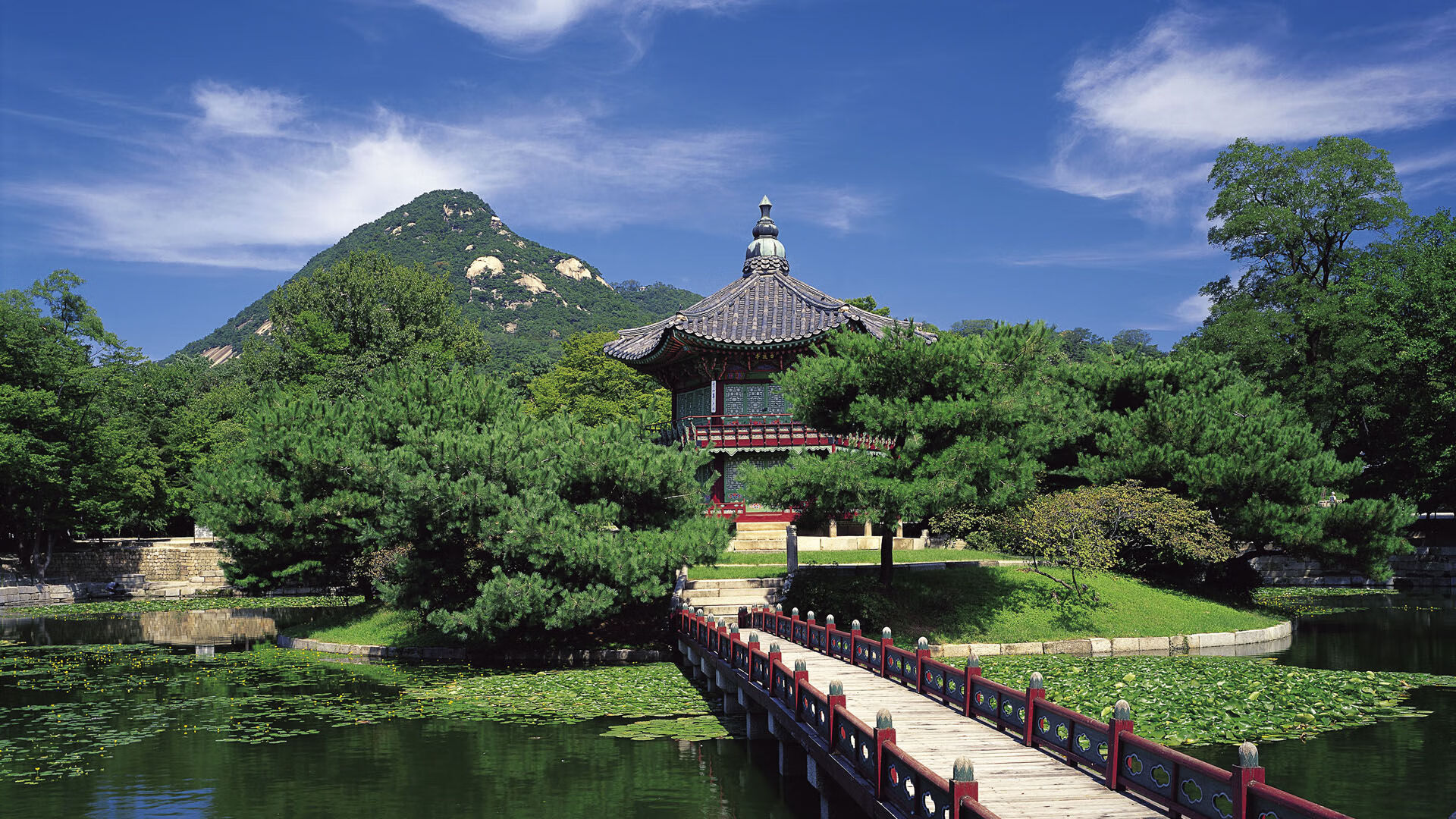 开云官方-卡迪夫城进攻多样，蓝鸟军团期待胜利，卡迪夫蓝调风格