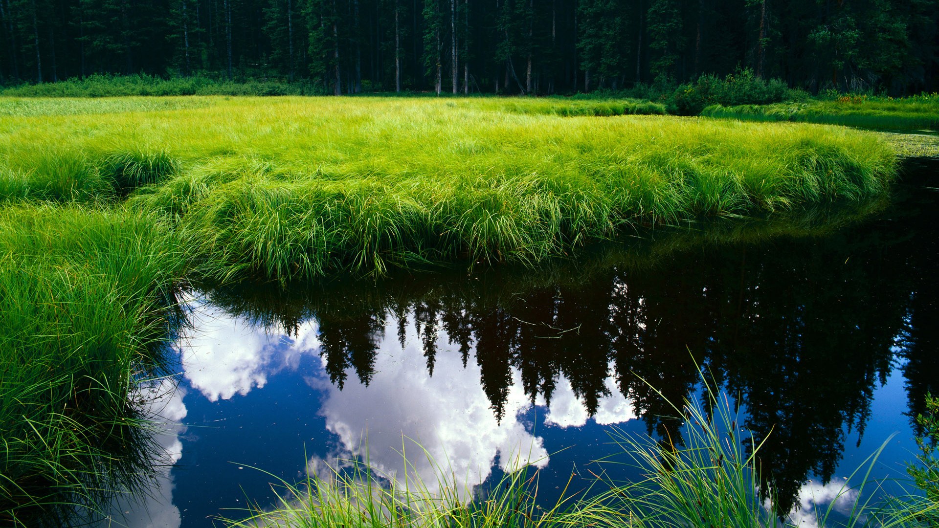 英超冲刺夜：悬念、激情、荣耀！，英超prizm choice