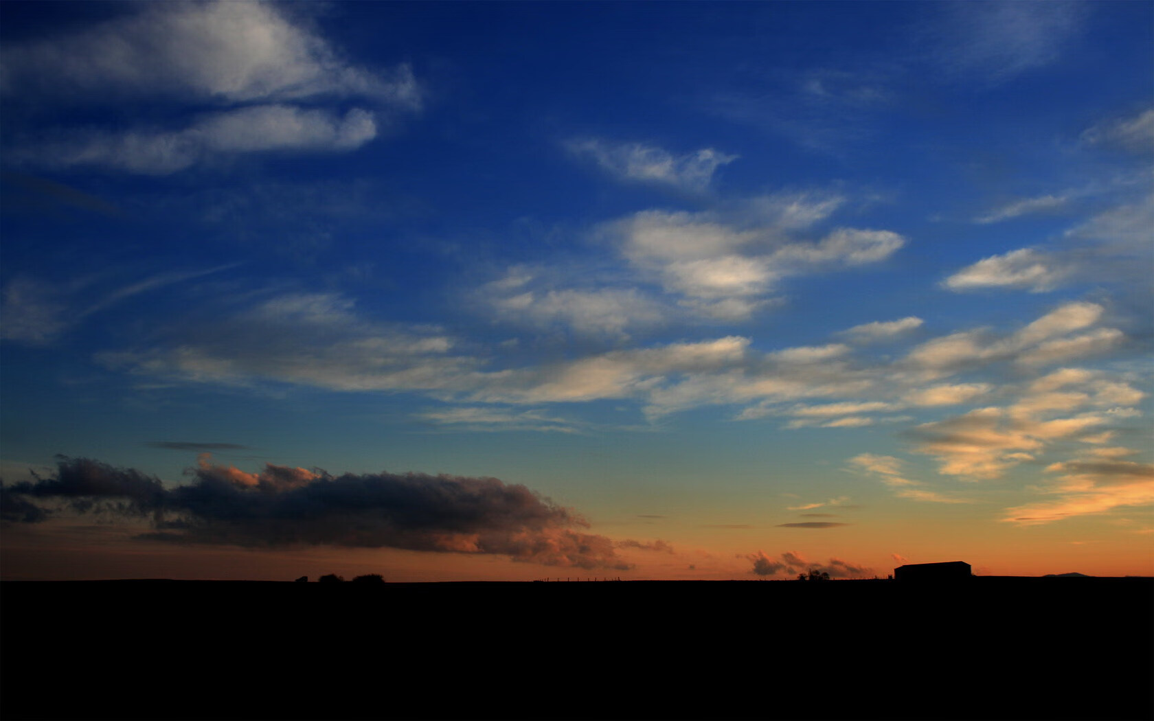开云体育博彩-鹈鹕球员社交平台分享训练成果引发好评，鹈鹕球队